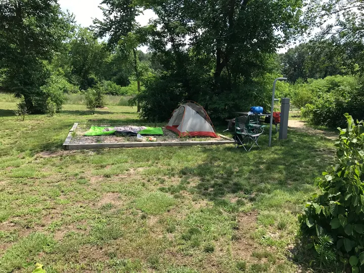 Tents in a field by the trees.