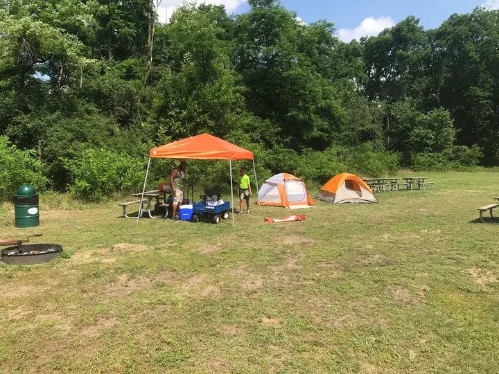 Tents pitched in a sunny field by the woods.