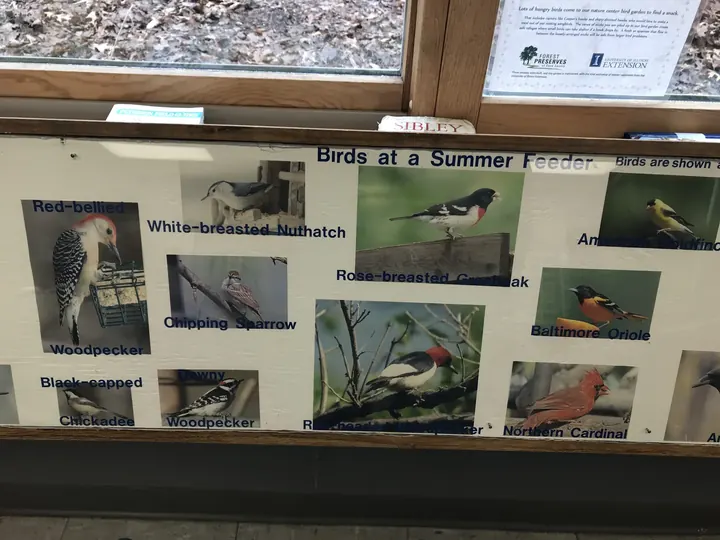 A display of bird photos at the nature center.