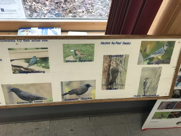 Another display panel of birds.