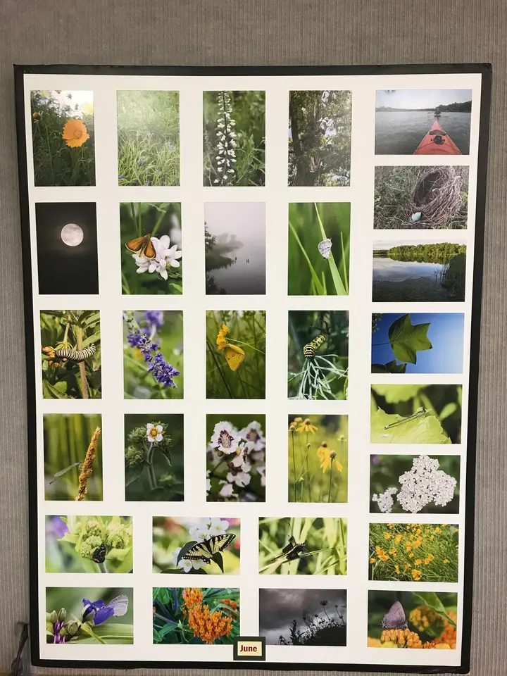 A poster of plant photos.