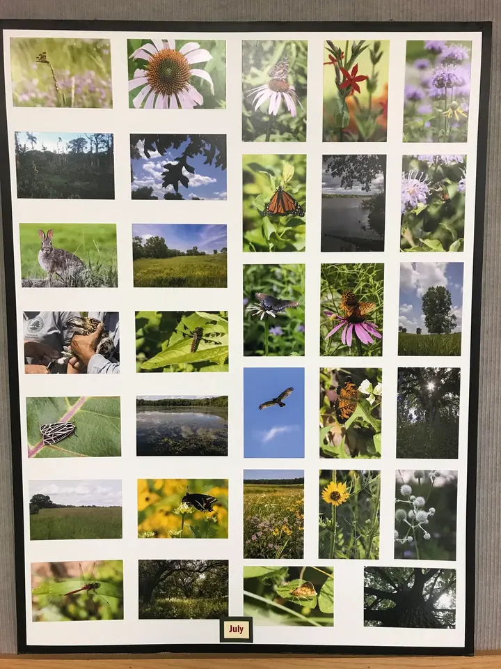 A poster grid of nature photos.